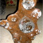 ammonite plaque