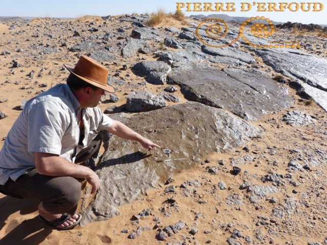 fossil erfoud quarry