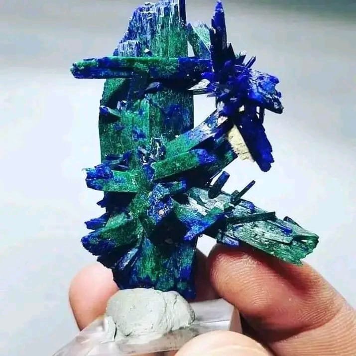 Azurite of morocco