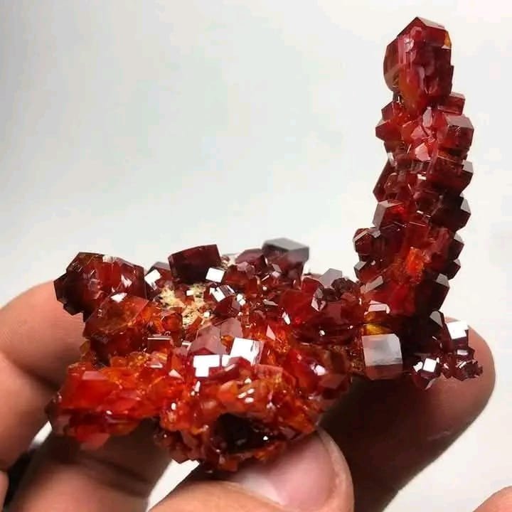 Vanadenite mineral
